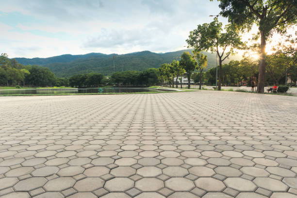 Best Residential Driveway Paver Services  in Clinton, IL